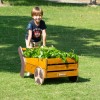 Planting Cart